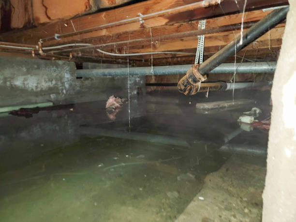 Best Sewage cleanup and water damage restoration  in Indian Mountain Lake, PA