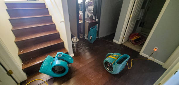 Best Professional water damage repair  in Indian Mountain Lake, PA