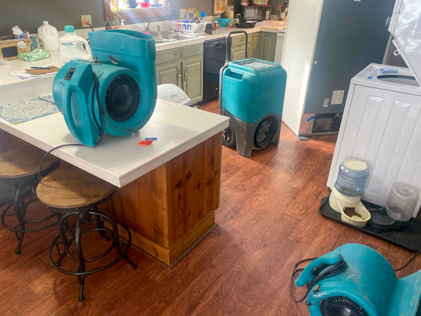 Best Water damage restoration near me  in Indian Mountain Lake, PA