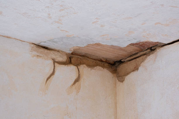 Best 24-hour water damage restoration  in Indian Mountain Lake, PA