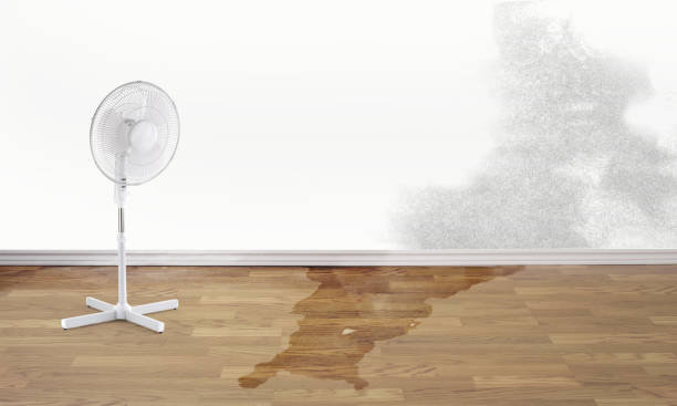 Best Carpet water damage restoration  in Indian Mountain Lake, PA