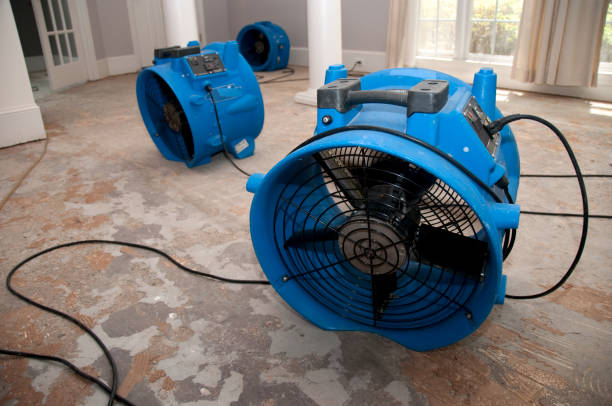 Best Ceiling water damage repair  in Indian Mountain Lake, PA