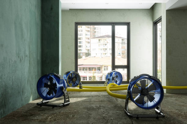 Professional Water damage restoration in Indian Mountain Lake, PA